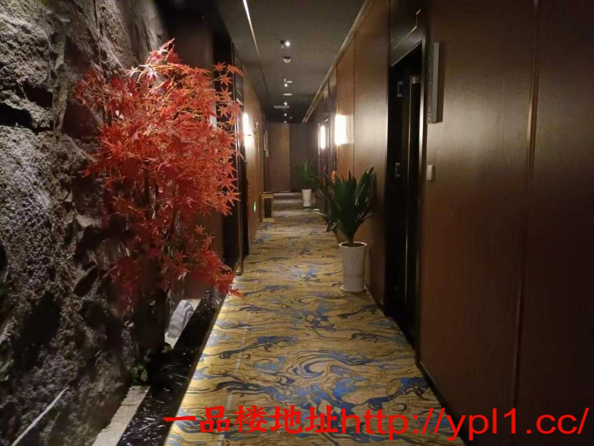 极品新品车模大学生护士少妇听话解锁粉嫩尤物小穴（有公寓可内射）有体检报告